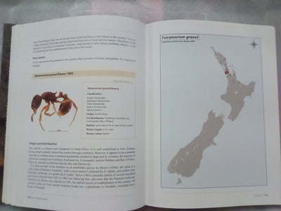 Ants of New Zealand by Warwick Don