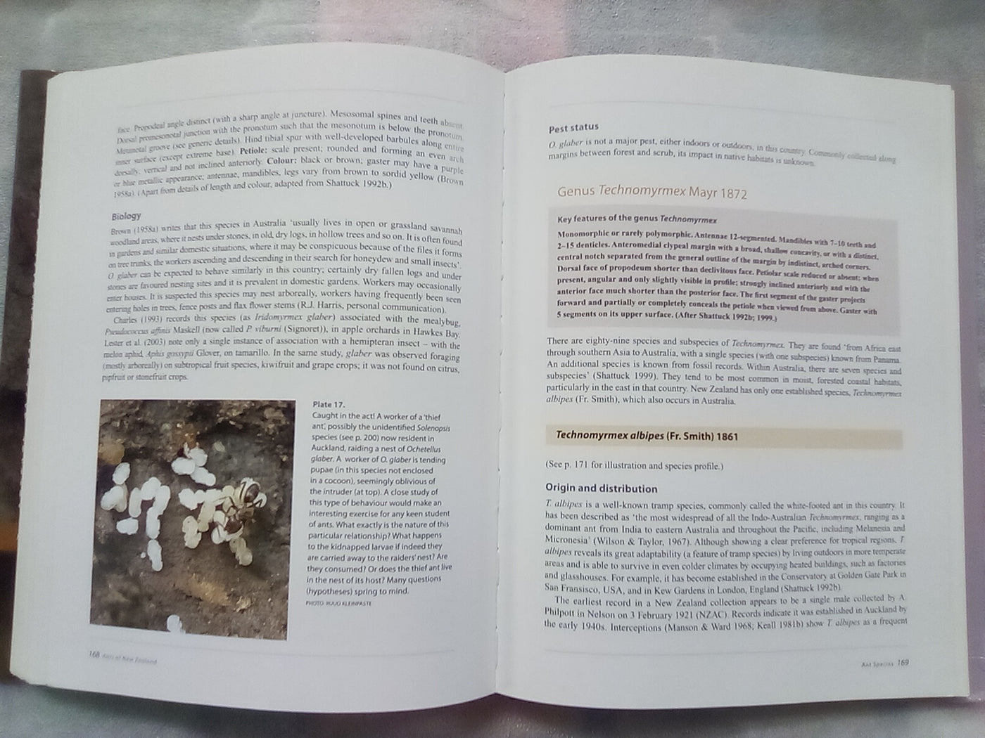Ants of New Zealand by Warwick Don