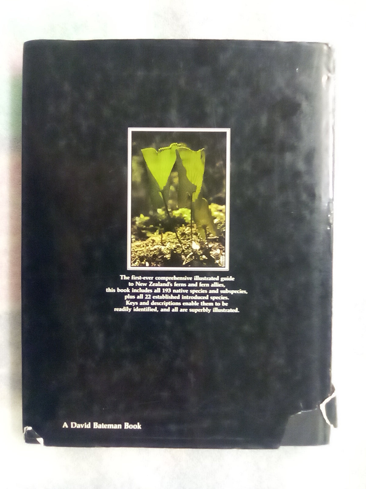 New Zealand Ferns & Allied Plants by Brownsey and Smith-Dodsworth