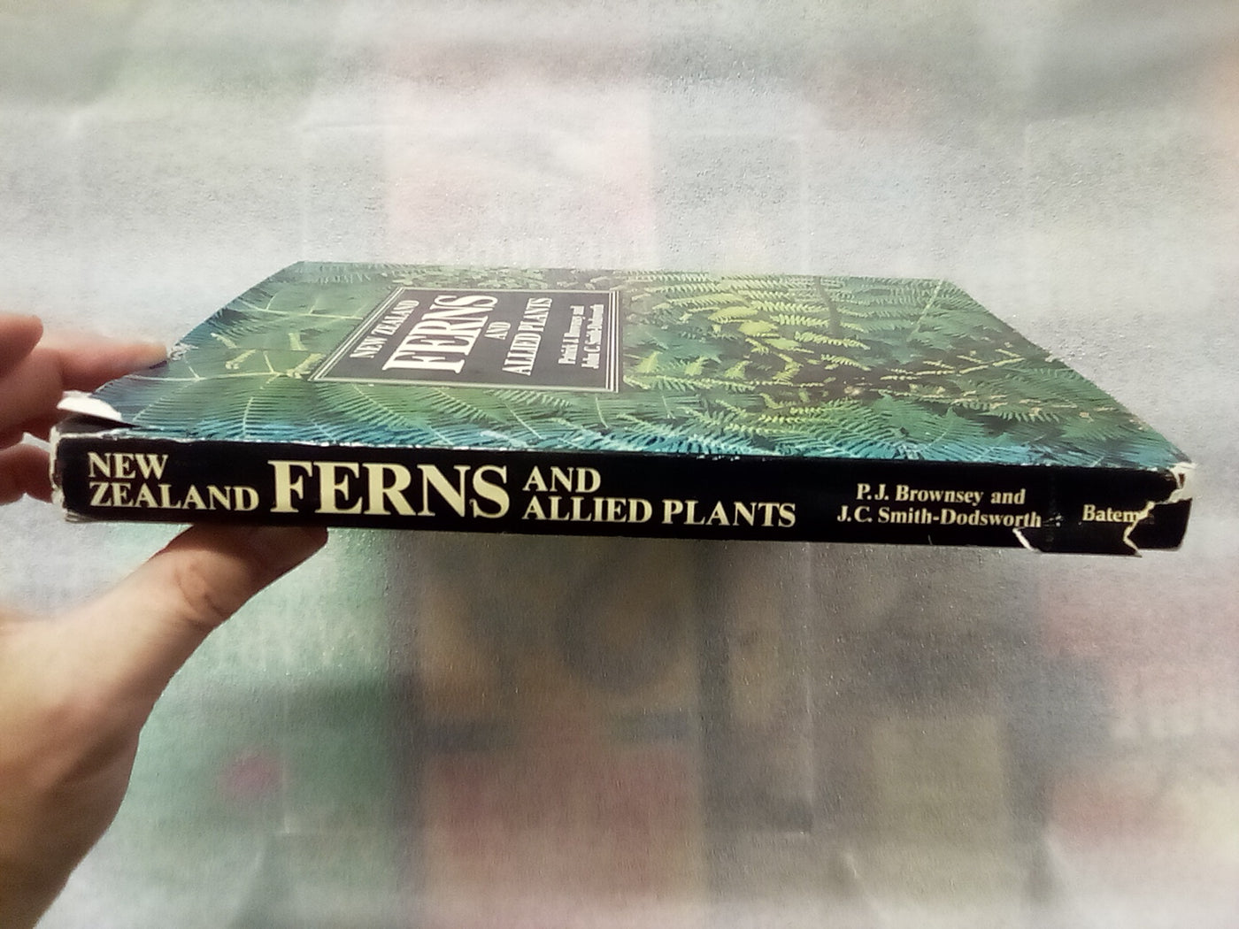 New Zealand Ferns & Allied Plants by Brownsey and Smith-Dodsworth