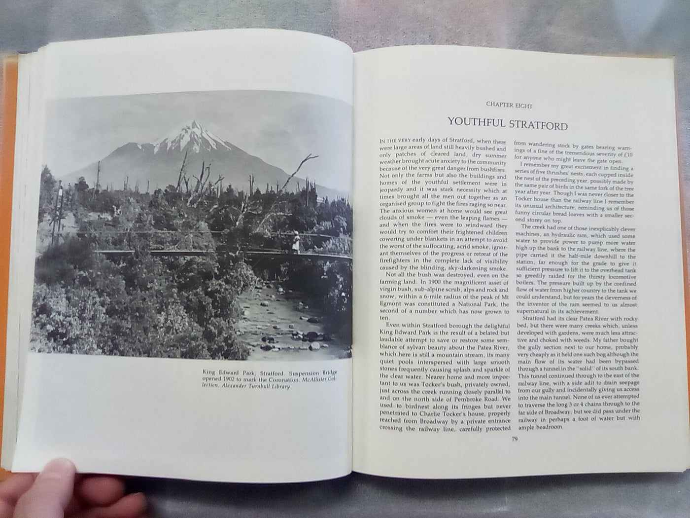 Old Taranaki & Its Mountain by Campbell McAllister