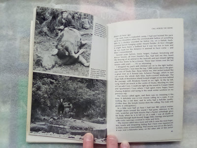 Call of the Moose and Other Fiordland Hunting Adventures by Ray Tinsley