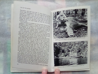 Call of the Moose and Other Fiordland Hunting Adventures by Ray Tinsley