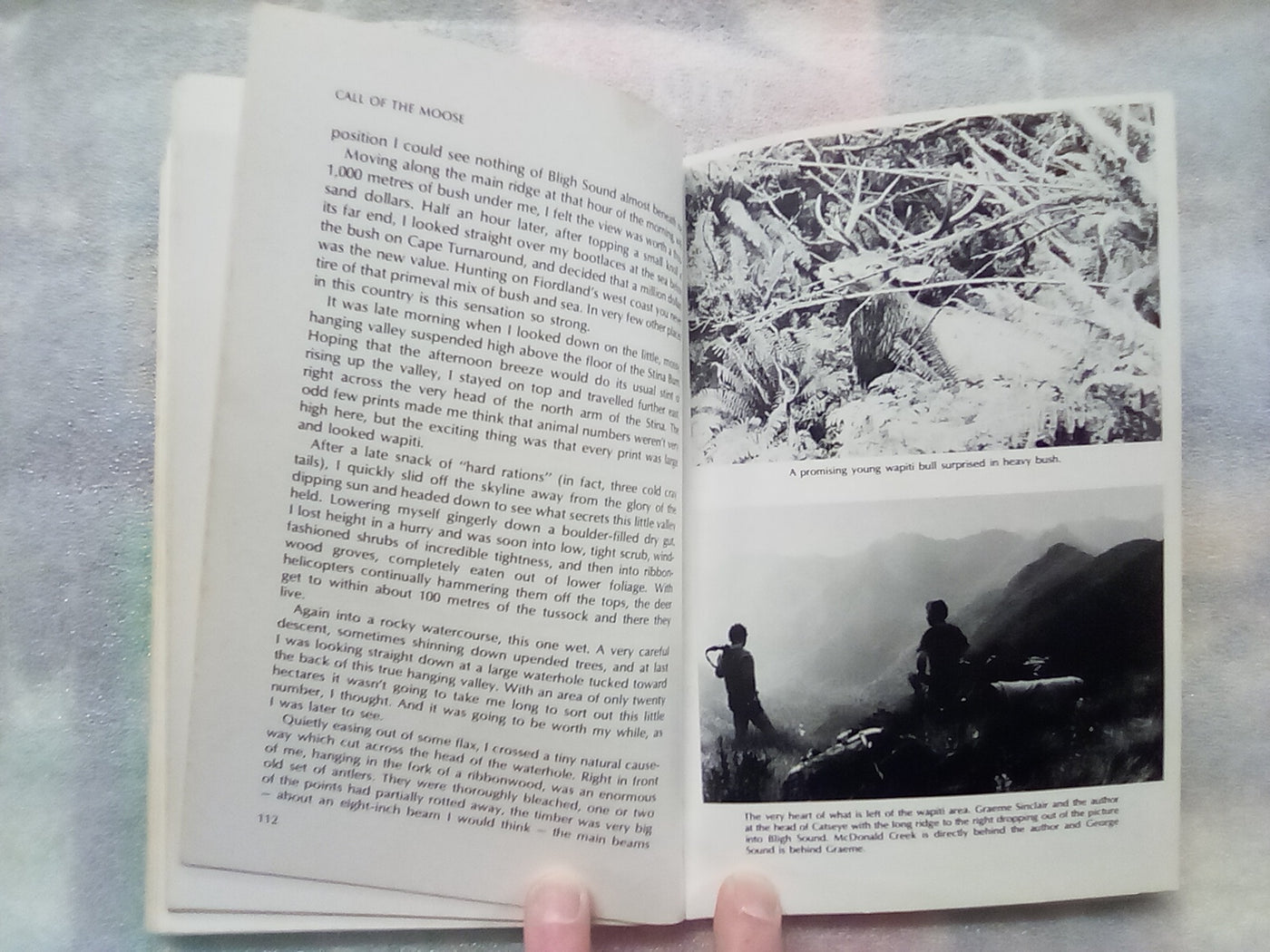 Call of the Moose and Other Fiordland Hunting Adventures by Ray Tinsley