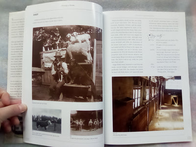 Weaving a Dream - The Bushy Park Experience (Whanganui) by Penny Robinson