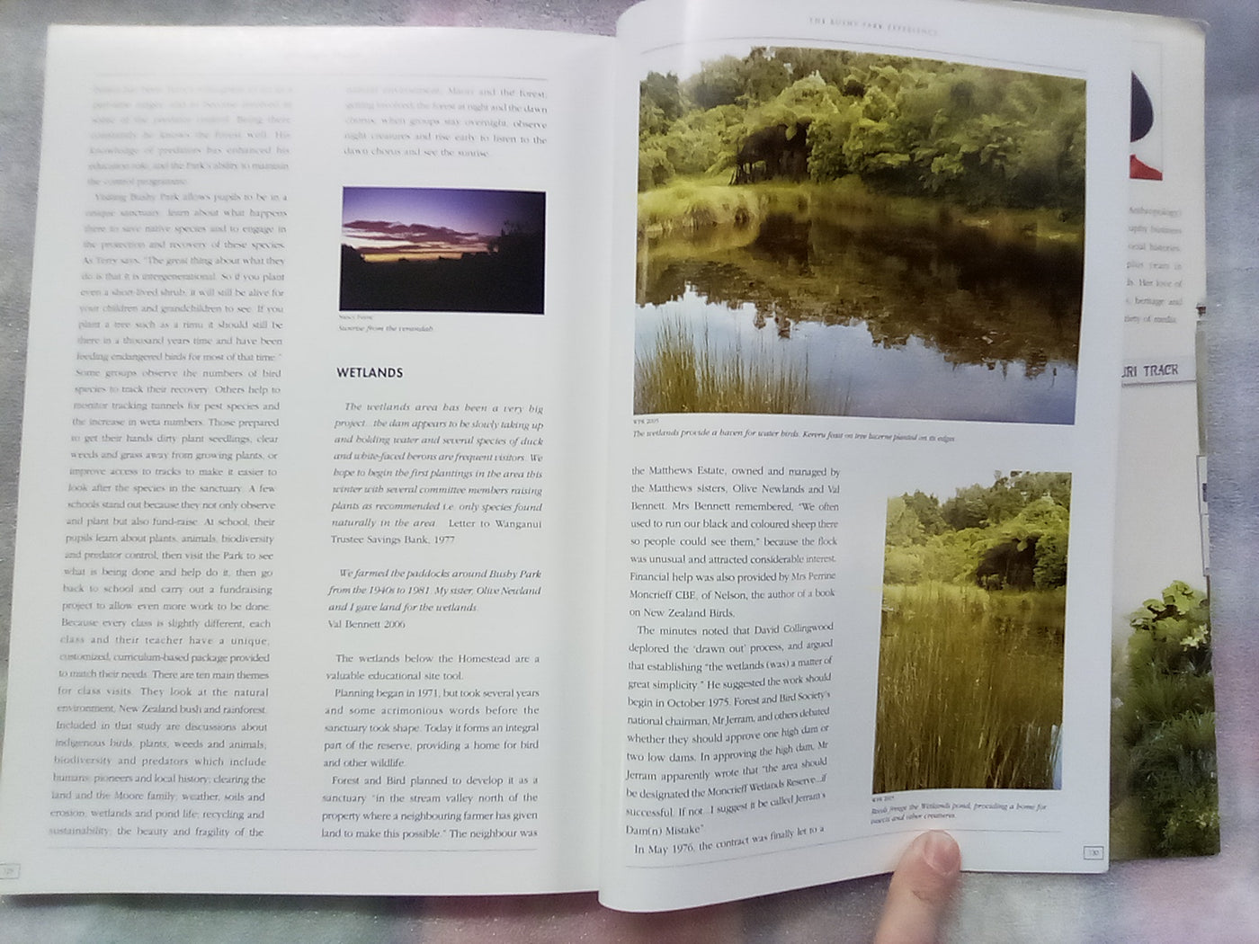 Weaving a Dream - The Bushy Park Experience (Whanganui) by Penny Robinson