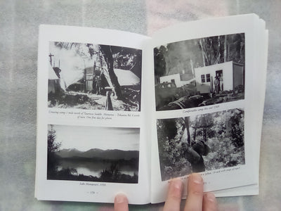 Timber Cruising and Other Forestry Stories Edited by Denis Harris