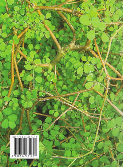 Māori Healing Remedies by Murdoch Riley [NEW]