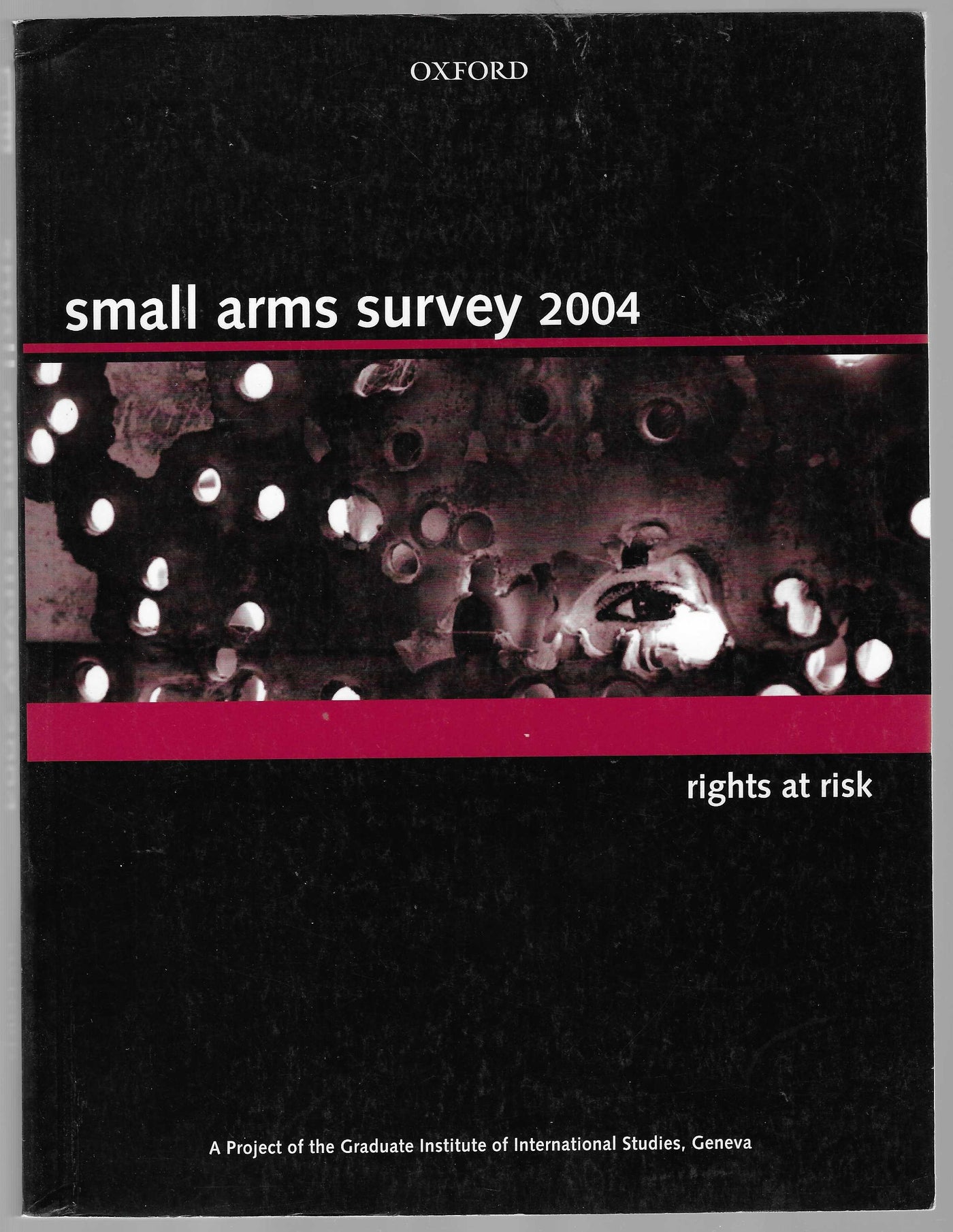 Small Arms Survey 2004