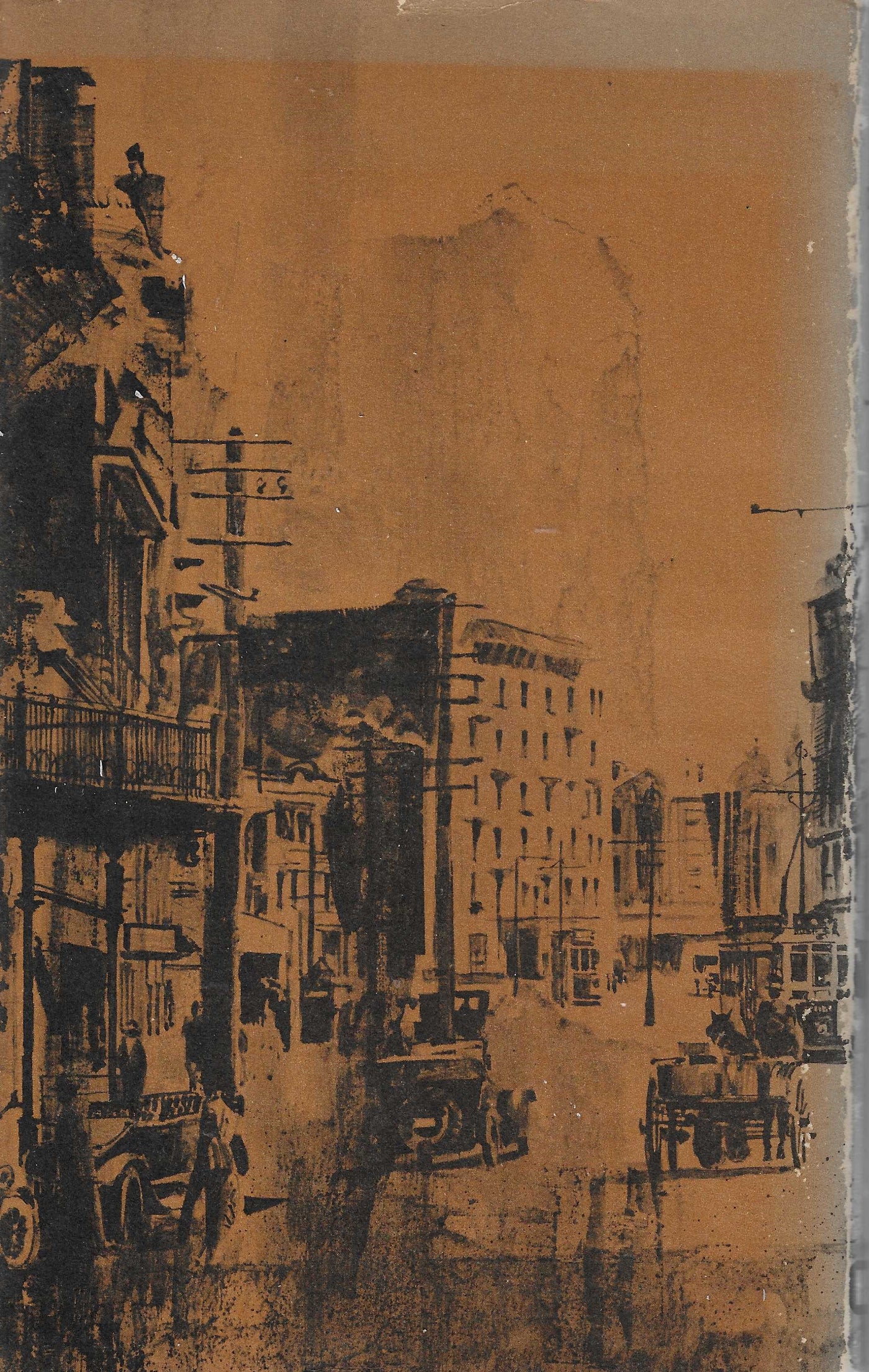 Wellington Prospect: Survey of a City 1840-1970